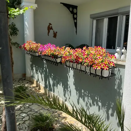 Villa Katarina Pula